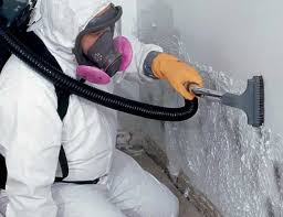 Mold Remediation for Vacation Homes in Manhattan, KS